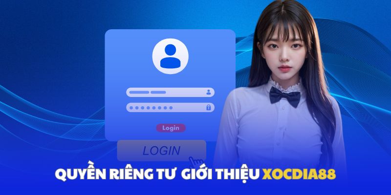 Giới thiệu khái quát về chính sách quyền riêng tư 